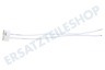 Universell Lampenfassung Halogen weiß