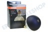 Osram Osram Vintage 1906 LED Globe Mirror Black 7W E27