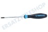 Witte 98908 Protop II T20 M4 Torx Schraubendreher