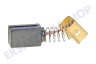 Black & Decker 596071-00 Kohlebürste 6 x 8 mm