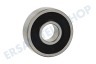 Dewalt N110359 Lager 608RS