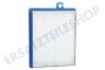 AEG Staubsauger AFS1W Allergy Plus S-Filter waschbar