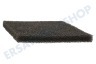 AEG Staubsauger AEF03 Motorfilter