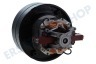Bauknecht Motor Komplett 1200 W -univers.