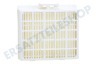 Bosch Staubsauger 577681, 00577681 Filter Hygiene Filter