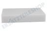 Bosch Staubsauger Filter Schaumstofffilter