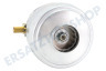 Alternative Staubsauger Motor Vollständig, 2000 Watt
