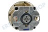 Bosch Staubsauger Motor