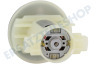 Black & Decker Staubsauger Motor