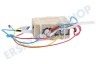 Black & Decker N639827 Kessel