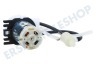 Black & Decker 90585121-00 Pumpe vom Dampfreiniger