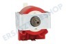 Black & Decker N500326 Pumpe Pumpe des Dampfreinigers