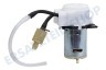 Black & Decker 90585121-07 Pumpe