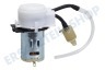 Black & Decker 90585121-07 Pumpe