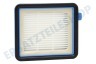 Electrolux Staubsauger Filter