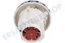 DeLonghi Staubsauger Motor Domel, 230 Volt 1200 Watt