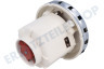 DeLonghi Staubsauger Motor Domel, 230 Volt 1200 Watt