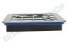 Philips Staubsauger 300003621781 Filter