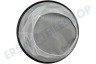 Nilfisk Motorschutzfilter