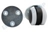 Nilfisk Staubsauger Lenkrolle dubbel KING/GD1000 SERIE