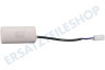 Nilfisk Hochdruck 128500636 Kondensator Mikroschalter
