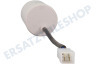 Nilfisk Hochdruck 128500636 Kondensator Mikroschalter