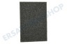 Rowenta Staubsauger RS-RT4314 Filter Schaumfilter