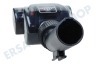 Rowenta Staubsauger ZR901701 Mini-Turbobürste