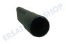 Rowenta Staubsauger RS-RT3130 Saugdüse Spalt 32 mm
