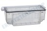 Rowenta Staubsauger RS-2230002316 Staubreservoir
