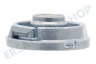 Dyson Staubsauger 971132-01 Kappe Endkappe Mini-Motorhead