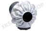 Dyson Staubsauger 965878-17 Dyson Cyclone