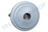 Dyson Staubsauger 968633-01 Dyson Motor