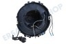 Dyson Staubsauger 968794-01 Dyson Kabelrolle