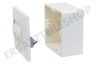 Hirschmann IDC 1000M/2 Daten-Wandkontaktdose, CAT6A 2-fach