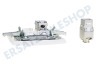 Hirschmann EDB 02U White Koax- und Datensteckdose CAT6A
