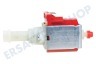Universell Ulka EP77 Pumpe für Kaffeemaschinen 230 Volt 50Hz 28 Watt