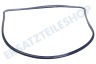 AEG Ofen-Mikrowelle 5610469024 Türdichtung