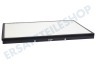 AEG AFWCAR3 AX5 AX7 Care Ultimate Schutzfilter