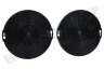 Zanussi Abzugshaube EFF75 Carbonfilter EFF75