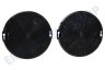 Zanussi Abzugshaube EFF75 Carbonfilter EFF75