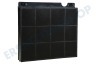 AEG Abzugshaube TYPE15 Kohlestoff-Filter Type 15