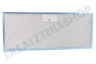 AEG Abzugshaube Filter Metall 258 x 318 mm