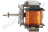 Therma Ofen-Mikrowelle Motor vom Ventilator, Heißluft