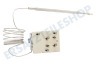 Electrolux Ofen-Mikrowelle Thermostat Mit Stiftsonde