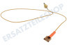 Hotpoint Herd 52986, C00052986 Thermoelement von Kochplatte