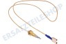 Hotpoint Herd 52986, C00052986 Thermoelement von Kochplatte