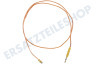 Ariston Herd Thermoelement 1000 mm