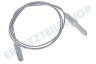 Whirlpool Herd 52951, C00052951 Zündkerze Einzeln + Kabel L = 700