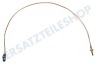 Whirlpool Herd Thermoelement 520mm.